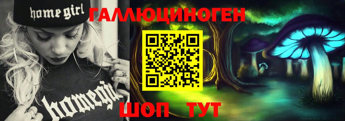 Дербент  Псилоцибиновые грибы Psilocybe  Вход с VPN  как найти наркотики  Галлюциногенные грибы GOLDEN TEACHER 