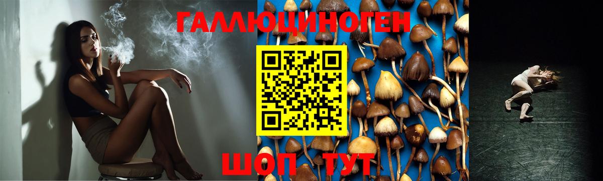Псилоцибиновые грибы мицелий Дербент